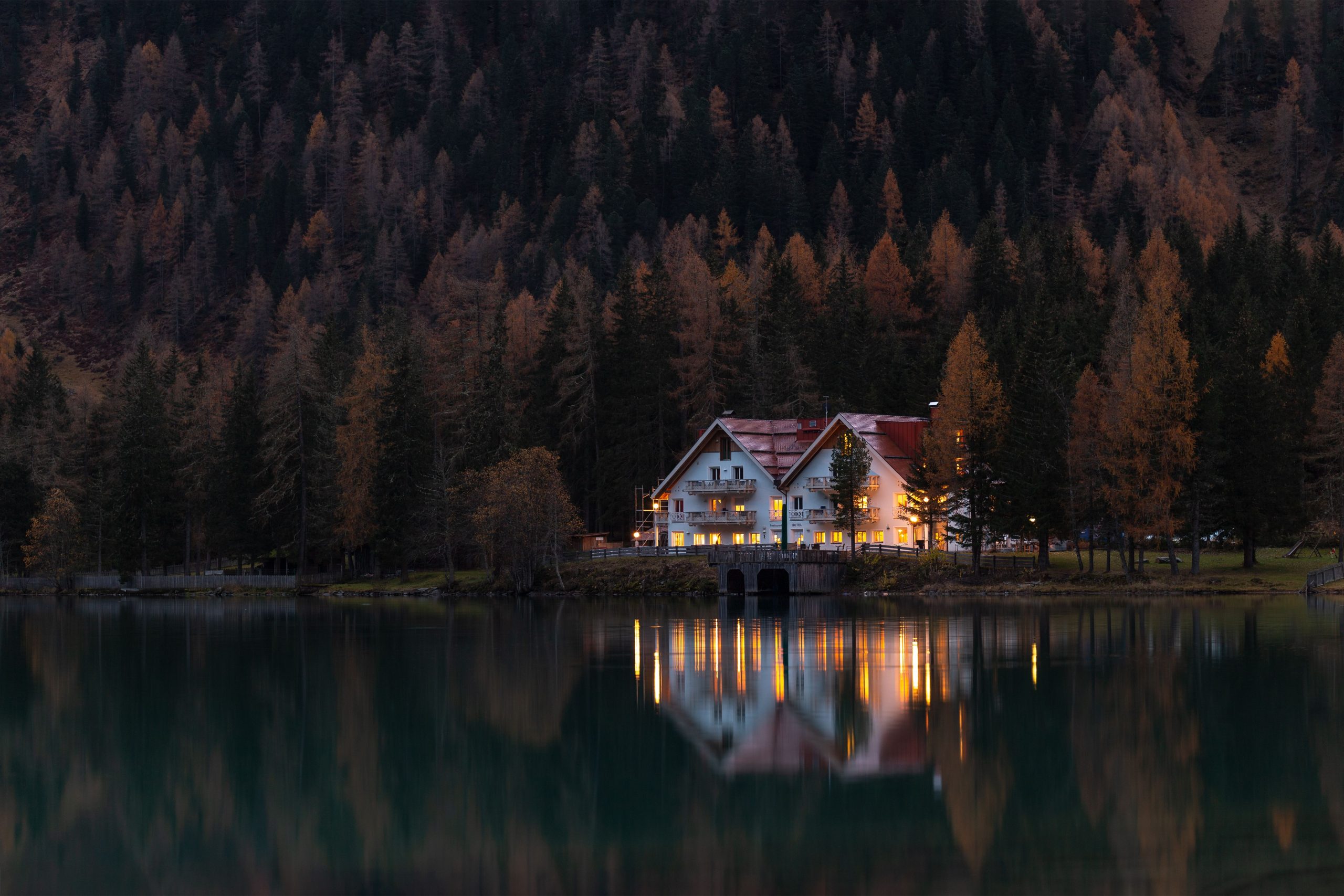 Wooded lakeside landscape